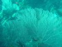 Filename=DSC00014.JPG
Filesize=513KiB
Dimensions=1024x768
Date added=Aug 05, 2014 DSC00014.JPG