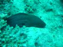 Filename=DSC00026.JPG
Filesize=398KiB
Dimensions=1024x768
Date added=Aug 05, 2014 DSC00026.JPG