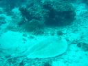 Filename=DSC00033.JPG
Filesize=508KiB
Dimensions=1024x768
Date added=Aug 05, 2014 DSC00033.JPG