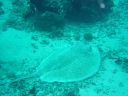 Filename=DSC00034.JPG
Filesize=475KiB
Dimensions=1024x768
Date added=Aug 05, 2014 DSC00034.JPG