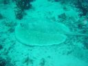 Filename=DSC00035.JPG
Filesize=494KiB
Dimensions=1024x768
Date added=Aug 05, 2014 DSC00035.JPG