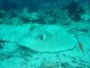 Filename=DSC00038.JPG
Filesize=480KiB
Dimensions=1024x768
Date added=Aug 05, 2014 DSC00038.JPG