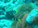 DSC00056.JPG