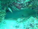 DSC00065.JPG