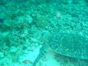 DSC00072.JPG