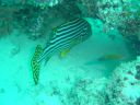 DSC00074.JPG