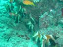 DSC00075.JPG