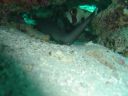 DSC00079.JPG