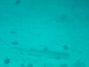 DSC00086.JPG