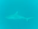 DSC00090.JPG