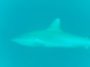 DSC00091.JPG
