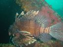 DSC00103.JPG