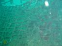 DSC00105.JPG