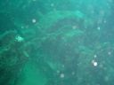 DSC00106.JPG