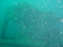 DSC00108.JPG
