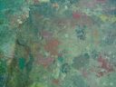 DSC00111.JPG