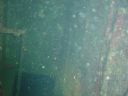 DSC00114.JPG