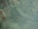 DSC00121.JPG