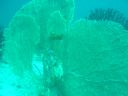 DSC00137.JPG