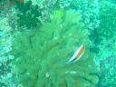 DSC00140.JPG