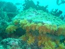 DSC00164.JPG