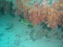 DSC00169.JPG