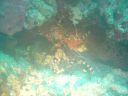 DSC00178.JPG