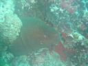 DSC00179.JPG