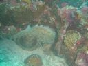 DSC00180.JPG