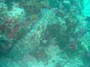 DSC00183.JPG