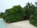 DSC00187.JPG