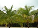DSC00189.JPG