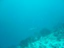 Dateiname=DSC00201.JPG
Dateigröße=311KB
Abmessungen: 1024x768
hinzugefügt am: 05. August 2014 DSC00201.JPG