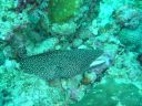 Dateiname=DSC00215.JPG
Dateigröße=522KB
Abmessungen: 1024x768
hinzugefügt am: 05. August 2014 DSC00215.JPG