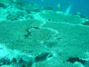 Dateiname=DSC00216.JPG
Dateigröße=478KB
Abmessungen: 1024x768
hinzugefügt am: 05. August 2014 DSC00216.JPG