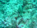 Dateiname=DSC00235.JPG
Dateigröße=510KB
Abmessungen: 1024x768
hinzugefügt am: 05. August 2014 DSC00235.JPG