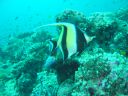 Dateiname=DSC00250.JPG
Dateigröße=447KB
Abmessungen: 1024x768
hinzugefügt am: 05. August 2014 DSC00250.JPG