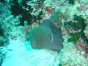 Dateiname=DSC00252.JPG
Dateigröße=482KB
Abmessungen: 1024x768
hinzugefügt am: 05. August 2014 DSC00252.JPG