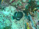 Dateiname=DSC00254.JPG
Dateigröße=476KB
Abmessungen: 1024x768
hinzugefügt am: 05. August 2014 DSC00254.JPG