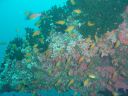 Dateiname=DSC00257.JPG
Dateigröße=466KB
Abmessungen: 1024x768
hinzugefügt am: 05. August 2014 DSC00257.JPG
