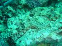 Dateiname=DSC00285.JPG
Dateigröße=545KB
Abmessungen: 1024x768
hinzugefügt am: 05. August 2014 DSC00285.JPG