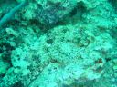 Dateiname=DSC00286.JPG
Dateigröße=523KB
Abmessungen: 1024x768
hinzugefügt am: 05. August 2014 DSC00286.JPG