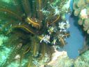 Dateiname=DSC00292.JPG
Dateigröße=489KB
Abmessungen: 1024x768
hinzugefügt am: 05. August 2014 DSC00292.JPG