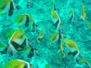DSC00339.JPG