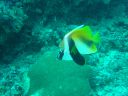 DSC00340.JPG