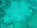 DSC00345.JPG