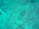 DSC00347.JPG