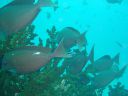 DSC00357.JPG