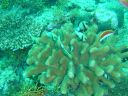 DSC00360.JPG
