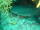 DSC00362.JPG